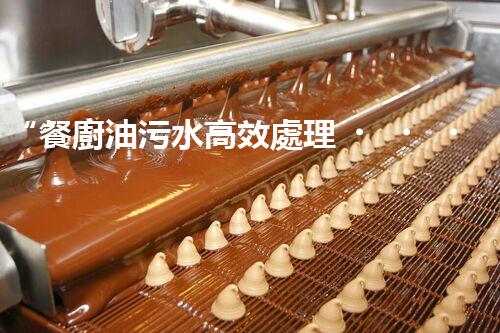 “餐廚油污水高效處理，綠色環(huán)保新篇章”